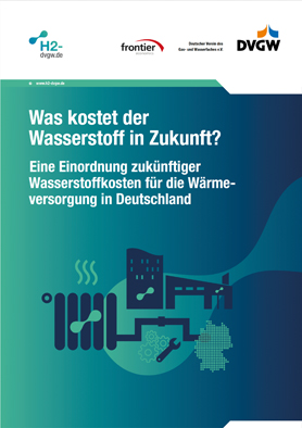 2023 grüner Wassertstoff klein